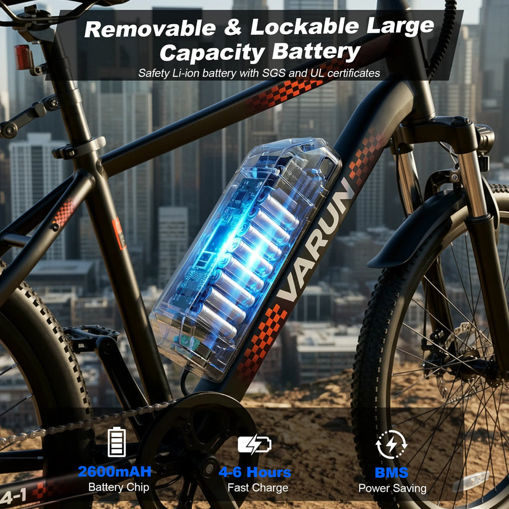 Varun M24-1 E-Bike