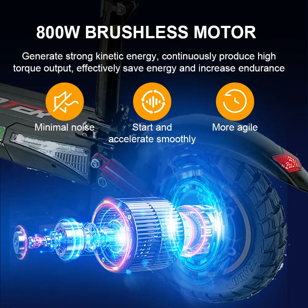 800W Folding E-Scooter