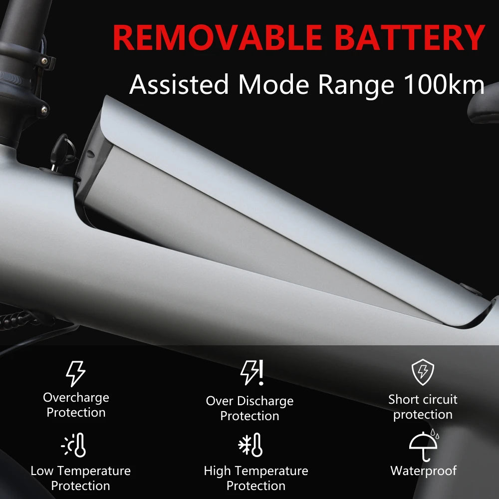 HX Q3 Off-Road E-Bike