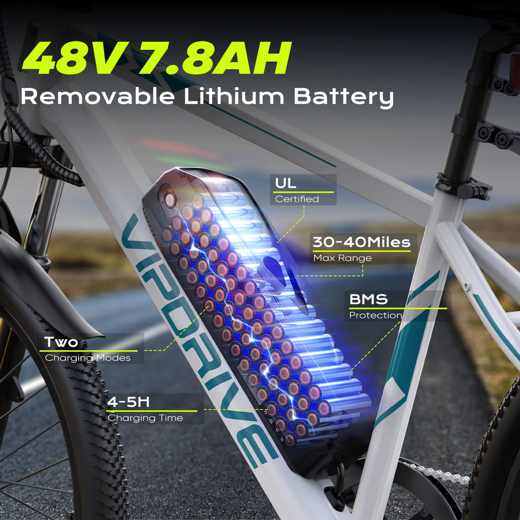VIPDRIVE Road E-Bike