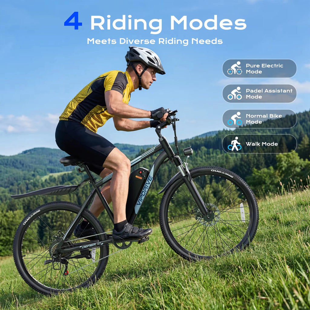VIPDRIVE Defier E-Bike