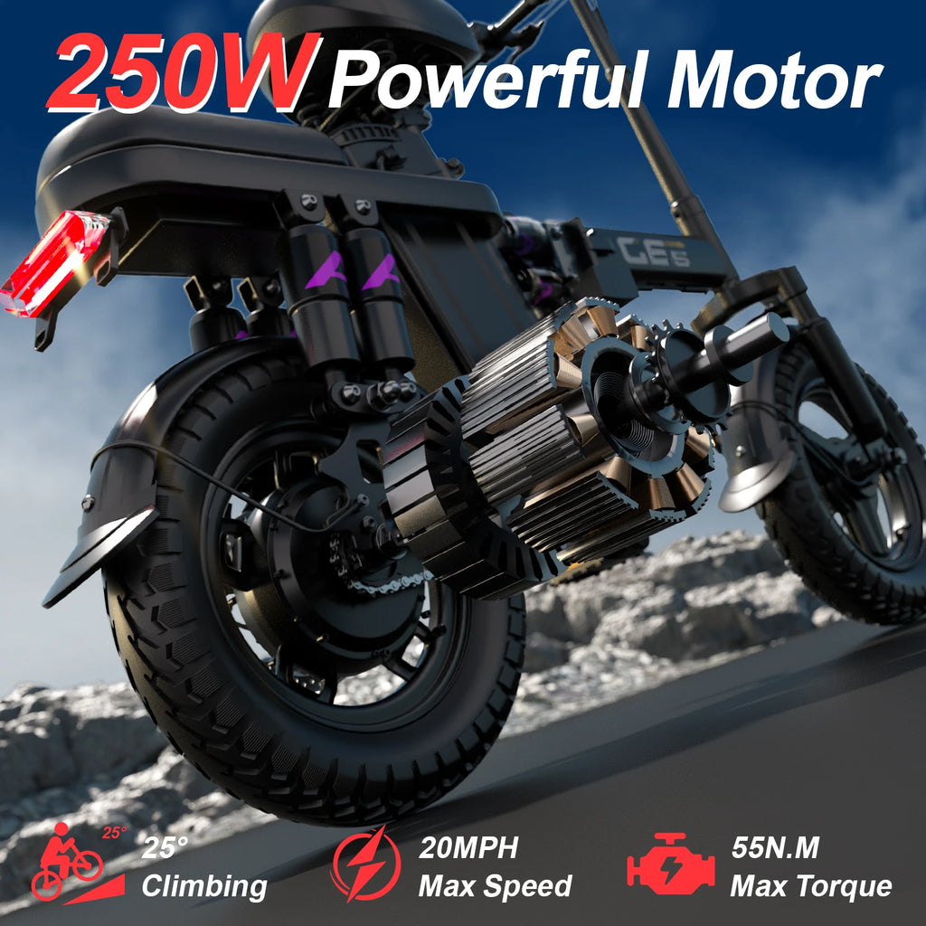 UPIee GE5 Folding E-Bike